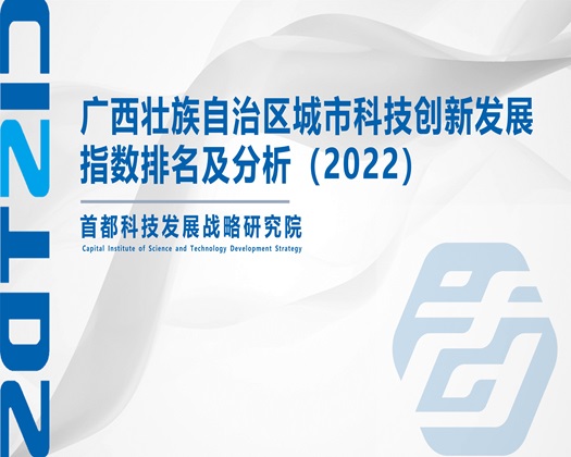 内射破处免费的网站【成果发布】广西壮族自治区城市科技创新发展指数排名及分析（2022）